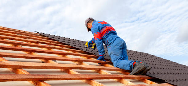 Best Rubber Roofing (EPDM, TPO)  in Canby, MN